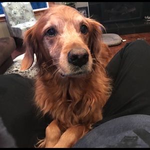 Meet your Posher, Zoe